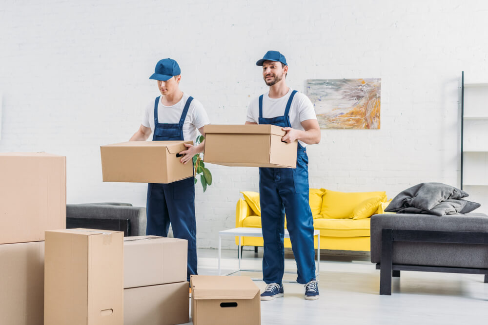 Moving and Packing Services