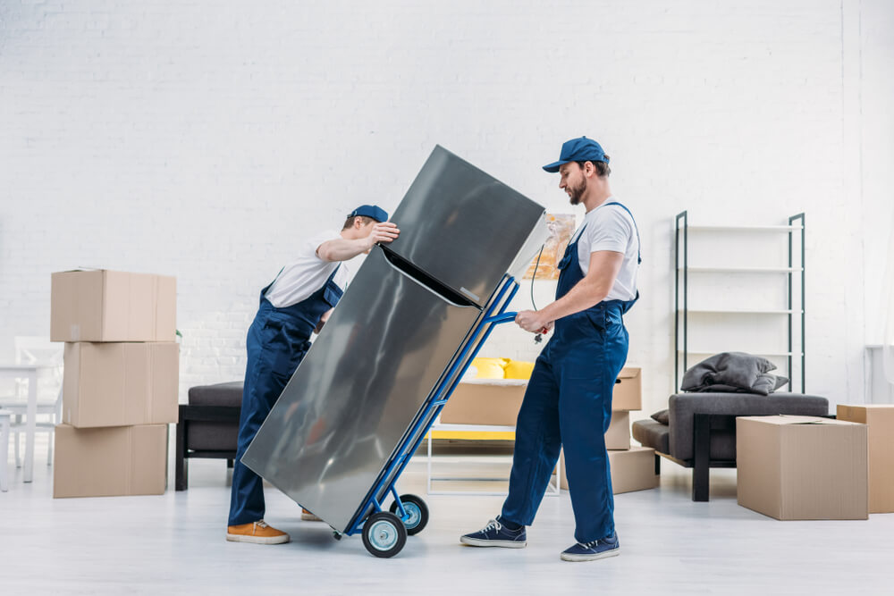 Professional Moving Services In Odenton